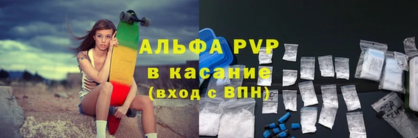 дживик Осташков