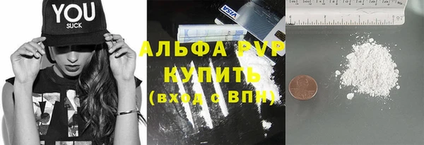 гидра Новозыбков