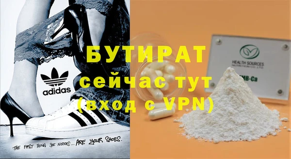 прущие грибы Новодвинск