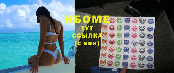 прущие грибы Новодвинск