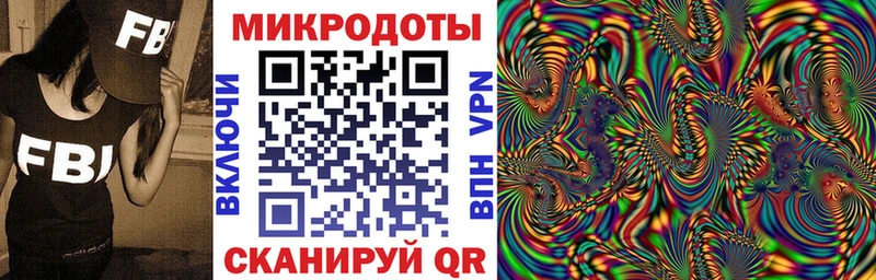 где купить Подпорожье Псилоцибиновые грибы Psilocybine cubensis